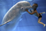 Beluga