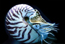 Nautilus vitalicio: Millones de años de evolución... ¡ sólo para ser de All Boys !